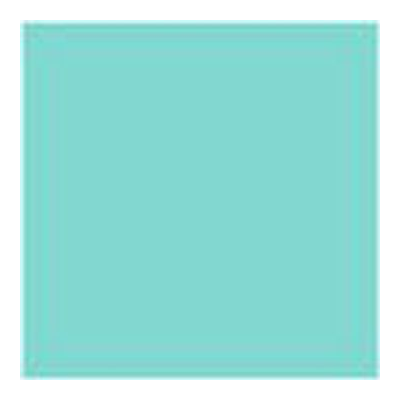 The Tiffany & Co. Foundation